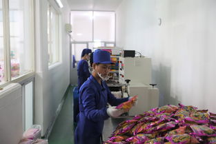 通讯 十年磨一剑，美味千万家——朝鲜松涛园综合食品厂采访记